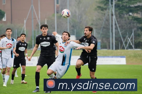 辅助工具